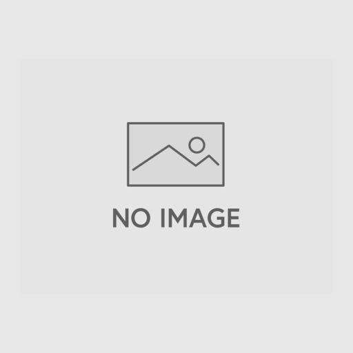 INA TSX35-E/970-25/25/AAAA-G2
