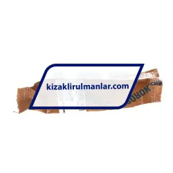 INA KBO12-PP rulman resim 3