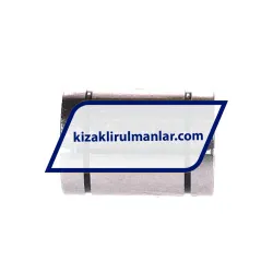 INA KBS16 rulman resim 2