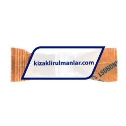 INA KBS16 rulman resim 4