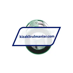 INA KN25-B rulman resim 2