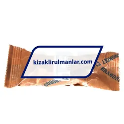 INA KBS20-P rulman resim 4