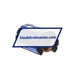INA KSO16-PP rulman resim 2
