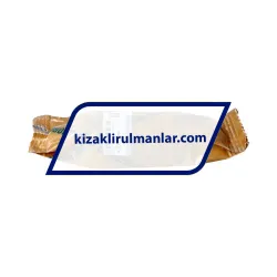 INA KSO25-PP rulman resim 4