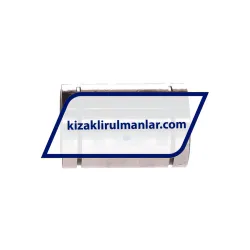 INA KBO25 rulman resim 2