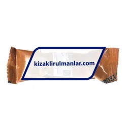 INA KB16-P rulman resim 4