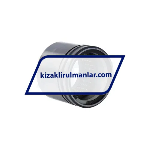 INA F-22985-01-RLF