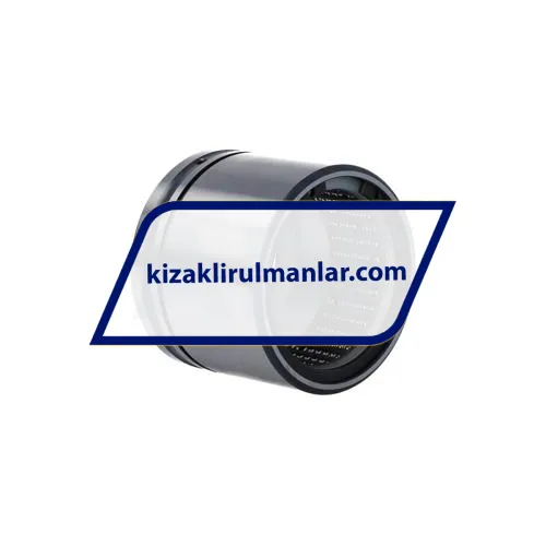 INA F-22985-01-RLF ürün fotoğrafı 2