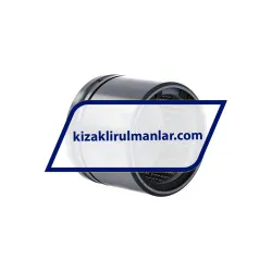 INA F-22985-01-RLF rulman resim 2