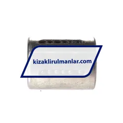 INA KH16-PP-RROC rulman resim 2