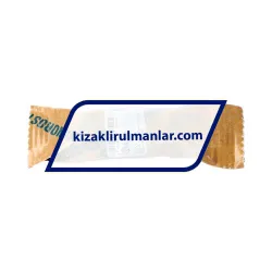 INA KS16-PP rulman resim 4