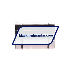 INA KBS20 rulman resim 2