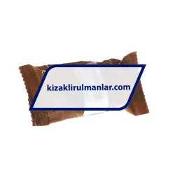 INA KBS20 rulman resim 4