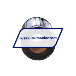 INA KS25-PP rulman resim 2