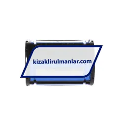 INA KS25-PP rulman resim 3