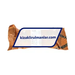 INA KS25-PP rulman resim 4