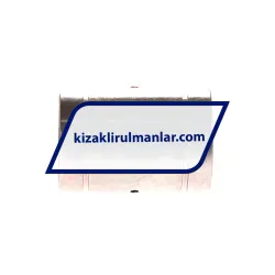 INA KB16-PP-RROC-AS rulman resim 3