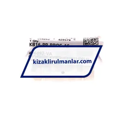INA KB16-PP-RROC-AS rulman resim 4