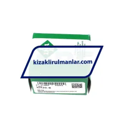 INA KH20-B rulman resim 4