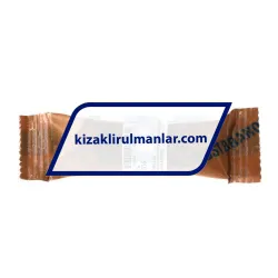INA KS16 rulman resim 4