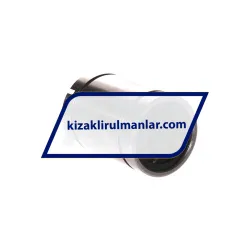 INA KBS12-PP rulman resim 2