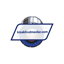 INA KS20 rulman resim 2