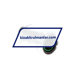 INA PAB12-PP-AS rulman resim 2