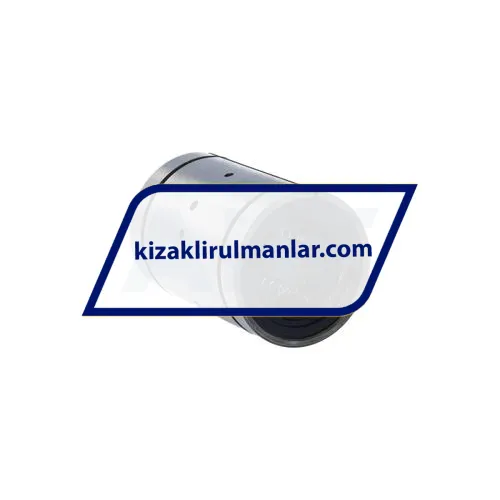 INA KBS25-PP-AS ürün fotoğrafı 2
