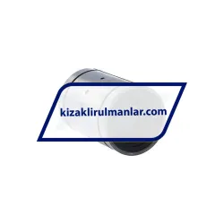 INA KBS25-PP-AS rulman resim 2