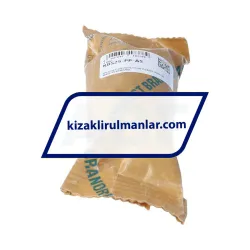 INA KBS25-PP-AS rulman resim 3
