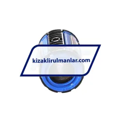 INA KS12 rulman resim 2