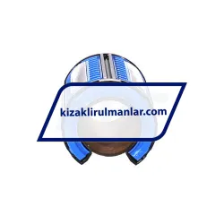 INA KSO30 rulman resim 2