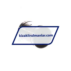 INA KB20-PP-AS rulman resim 2