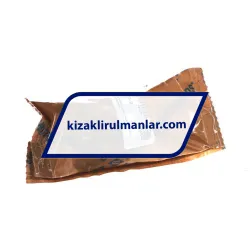 INA KNO20-B rulman resim 4