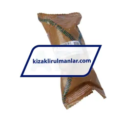 INA KBS25