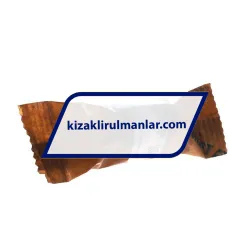 INA KB16 rulman resim 4