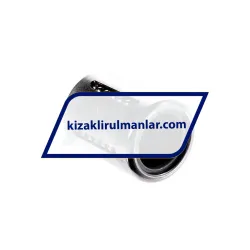 INA KH16-P rulman resim 2