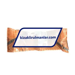 INA KN20-B-PP rulman resim 3
