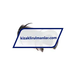 INA KBO12 rulman resim 2