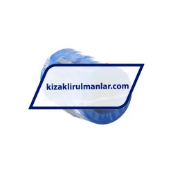 SKF LBCR16D-LS
