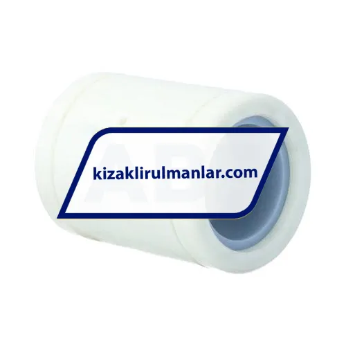 SKF LPAR40