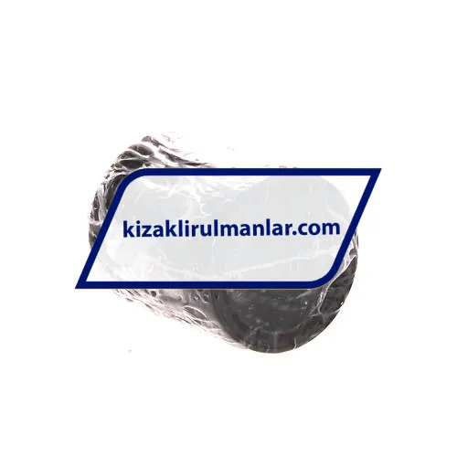 SKF LBBR25
