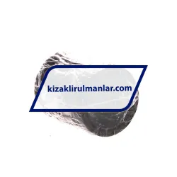 SKF LBBR25