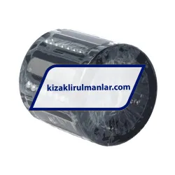 Bosch-Rexroth R0668-040-30 rulman resim 2