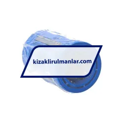 SKF LBCR25D-LS/HV6