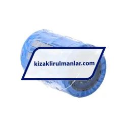 SKF LBCR25D-LS/HV6 rulman resim 2