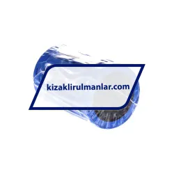 SKF LBCR25D-2LS