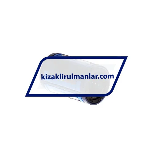 SKF LBCD12A-2LS ürün fotoğrafı 2