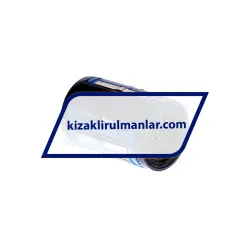 SKF LBCD12A-2LS