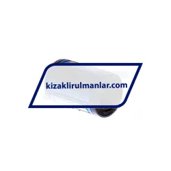 SKF LBCD12A-2LS rulman resim 2